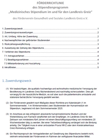 Screen Förderrichtlinie